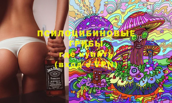 СК Надым