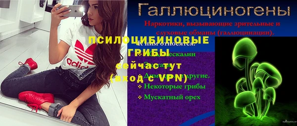 СК Надым