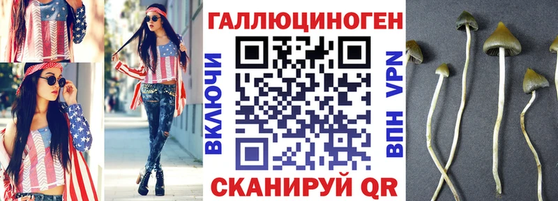 Псилоцибиновые грибы Magic Shrooms  Пестово 